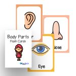 kids educational toys body parts identify flash cards for kids